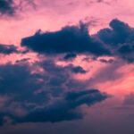 Study finds Agritech crucial in achieving net negative emissions in food industry agriTech, GHG emissions, Innovation and NPD, Processing and Packaging, Science, Sustainability, Transparency and supply chain Food and Beverage Business