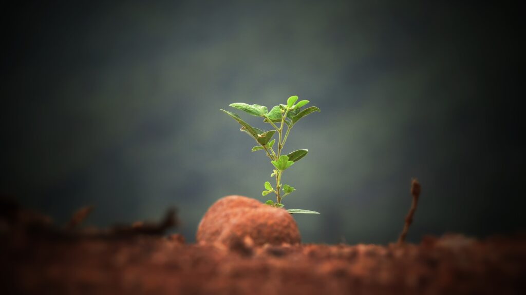 Regenerative Agriculture Consortium Brings Nestlé, PepsiCo and Others Together to Forge Shared Goals Food and Beverage Business Regenerative Agriculture Consortium Brings Nestlé, PepsiCo and Others Together to Forge Shared Goals Food and Beverage Business