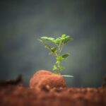 Regenerative Agriculture Consortium Brings Nestlé, PepsiCo and Others Together to Forge Shared Goals Food and Beverage Business Supreme
