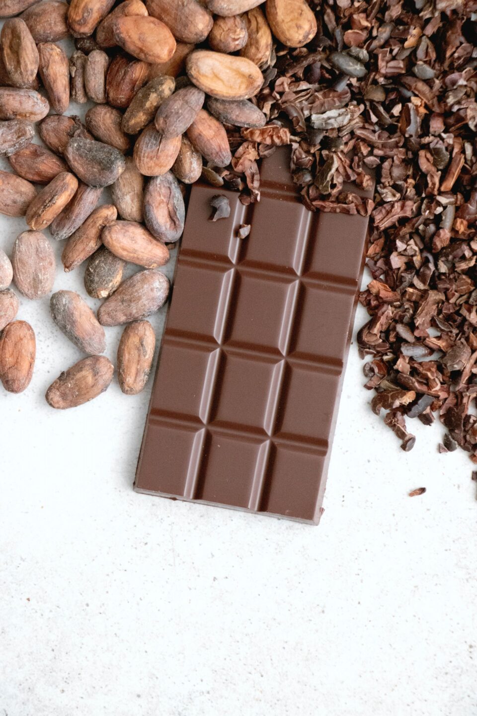 Aiming to Assist Producers in Conveying Cacao Quality: The Ultimate Cacao Guide business, Cacao, Fruit, nut ingredients, Sustainability, vegetable Food and Beverage Business