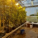 £1.6 Million Awarded to 13 Businesses for Sustainable Food and Drink Innovation beverage packaging, circular economy, food and drink packaging, food and drink sustainable packaging, Food packaging Food and Beverage Business