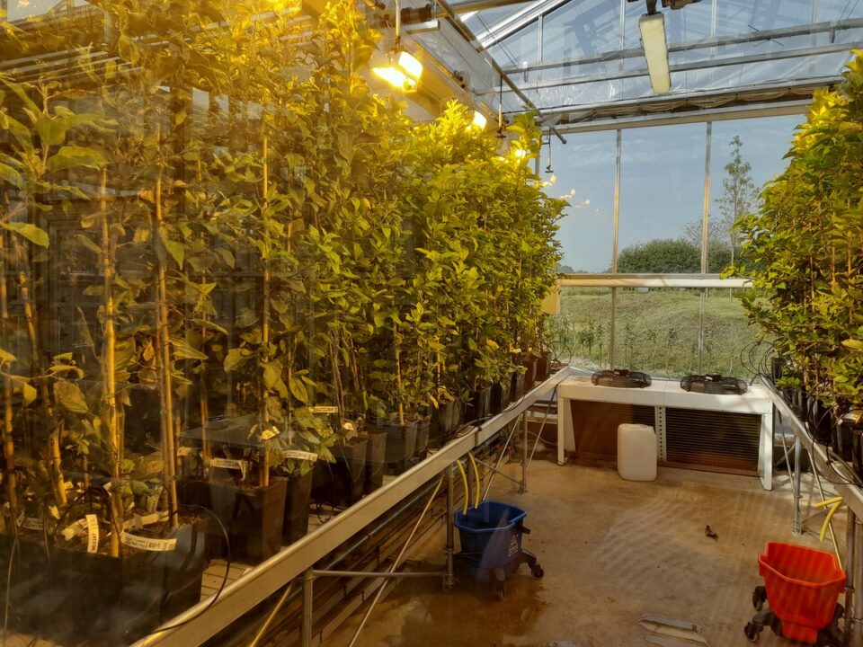 £1.6 Million Awarded to 13 Businesses for Sustainable Food and Drink Innovation beverage packaging, circular economy, food and drink packaging, food and drink sustainable packaging, Food packaging Food and Beverage Business