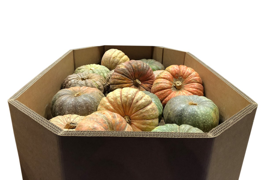 Demand for Pumpkin Packaging Soars as DS Smith Find Giant Pumpkins Food and Beverage Business Demand for Pumpkin Packaging Soars as DS Smith Find Giant Pumpkins food and drink packaging, food and drink sustainable packaging, Food packaging, Recyclability, Resource Efficiency Food and Beverage Business