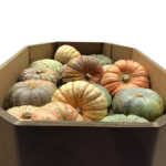 Demand for Pumpkin Packaging Soars as DS Smith Find Giant Pumpkins food and drink packaging, food and drink sustainable packaging, Food packaging, Recyclability, Resource Efficiency Food and Beverage Business