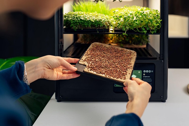 New Technology Enables Indoor Crop Cultivation business, Crops, Diet and health, digitalisation, food tech, Fruit, Health and nutritional ingredients, Healthy foods, mushrooms, nut ingredients, Transparency and supply chain, urban agriculture, vegetable Food and Beverage Business