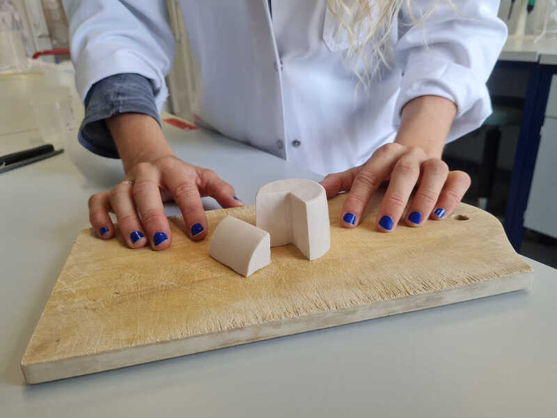 Potential for Producing Delicious, Environmentally-Friendly Cheeses Unveiled through Fermentation Research climate-friendly cheeses, Fermentation, Fermentation Research, opportunities, Researcher, tasty Food and Beverage Business Fermentation Research