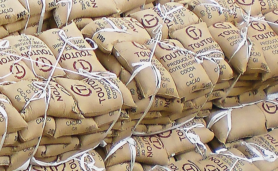 Touton's Blueprint for Enhancing Cocoa Supply Chain Agility to Comply with New Legislation cocoa, Cocoa & Sugar, Regulation & Safety, Sustainability, sustainable sourcing, Touton Food and Beverage Business supply chain,touton