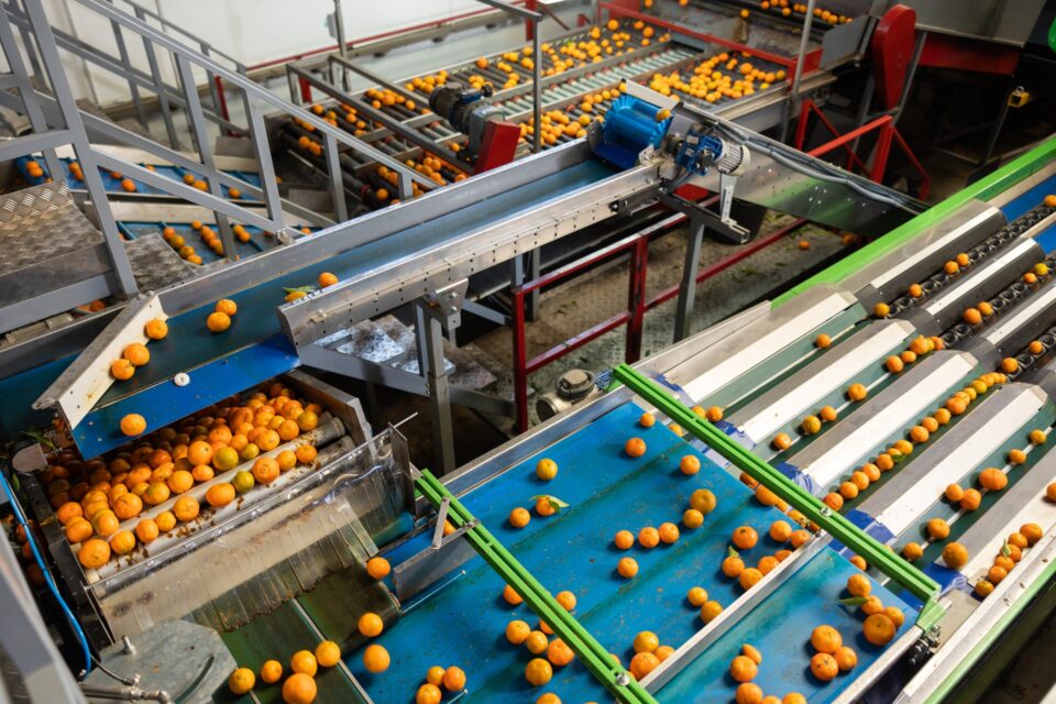 NSK bearings drive significant cost reductions at snack food facility deliver, major savings, NSK bearings, snack food plant Food and Beverage Business NSK bearings