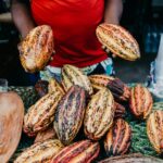 Cocoa Industry Leaders Advocate for Fair Pricing business, chocolate, Chocolate and confectionery ingredients, cocoa, confectionery, snacks, Sustainability, Transparency and supply chain Food and Beverage Business