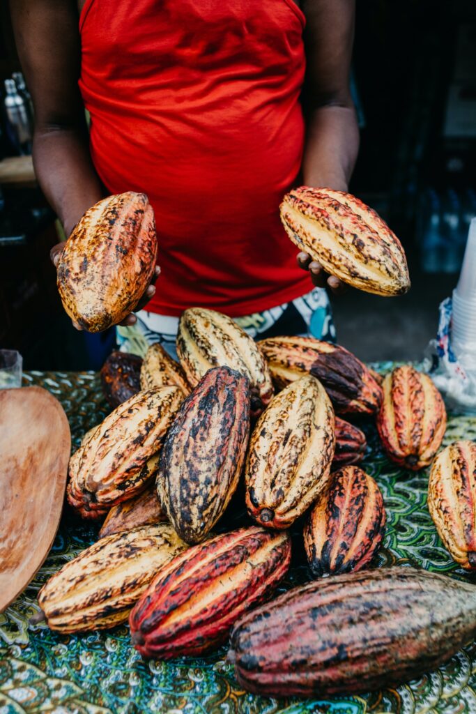 Cocoa Industry Leaders Advocate for Fair Pricing Food and Beverage Business Cocoa Industry Leaders Advocate for Fair Pricing business, chocolate, Chocolate and confectionery ingredients, cocoa, confectionery, snacks, Sustainability, Transparency and supply chain Food and Beverage Business