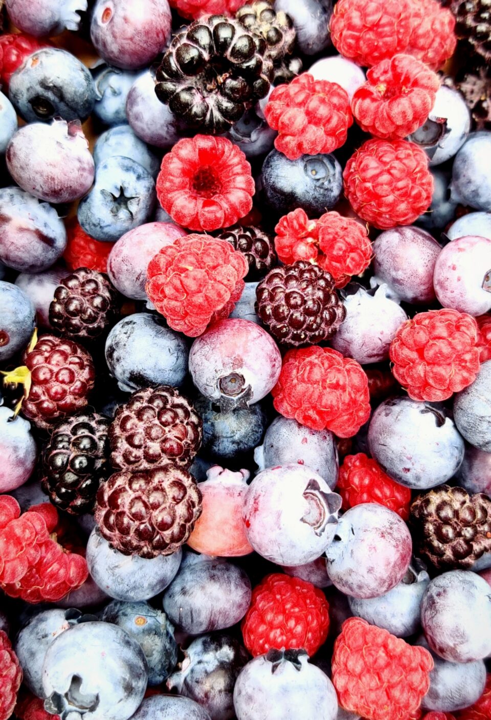 Surexport broadens berry capabilities through three acquisitions Food and Beverage Business