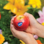 Montague, an Australian fruit supplier, merges with local counterpart Pomona Valley. Fresh produce Food and Beverage Business