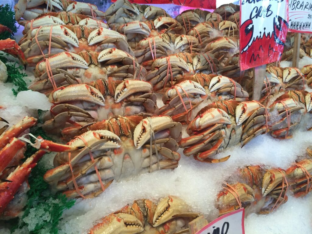 E20 Investment Acquires Majority Stake in Turkey's Lucky Fish Seafood Supplier Food and Beverage Business E20 Investment Acquires Majority Stake in Turkey's Lucky Fish Seafood Supplier Fish & Seafood Food and Beverage Business
