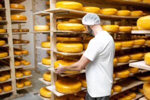 cheese - cold chain