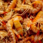 Accusations of "Misleading" Sustainability Claims Made Against UK Scampi Suppliers Environmental Sustainability, ESG, Fish & Seafood Food and Beverage Business