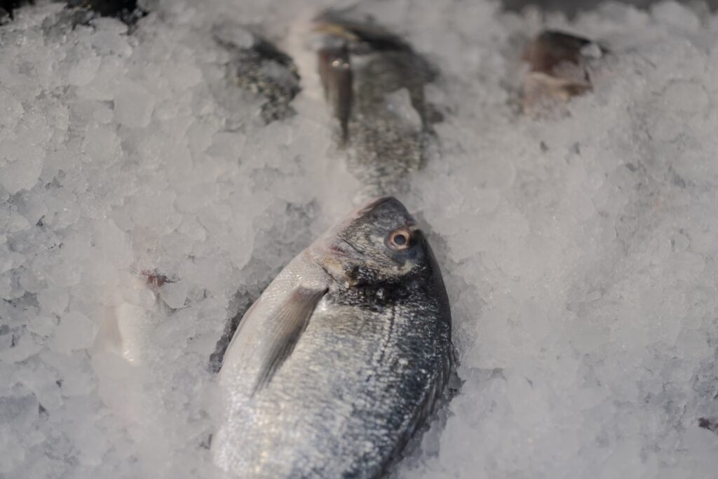 Whitby Seafoods appoints new board member appointments, board appointment, fish and savoury ingredients, meat, Operations, People & Skills, poultry & seafood, Whitby Seafoods Food and Beverage Business