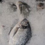 Whitby Seafoods appoints new board member appointments, board appointment, fish and savoury ingredients, meat, Operations, People & Skills, poultry & seafood, Whitby Seafoods Food and Beverage Business