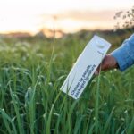 Elopak Announces Little Rock, Arkansas as Location for New US Production Plant Carton, food and drink packaging, food and drink sustainable packaging, Food packaging, Manufacturing Food and Beverage Business