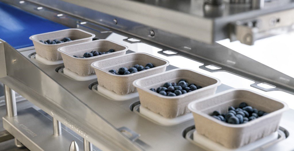 MULTIVAC Exhibiting Sustainable Packaging Technology for Fruit Trade at Fruit Logistica 2024 in Berlin events, food and drink packaging, food and drink sustainable packaging, Food packaging, Machinery Food and Beverage Business