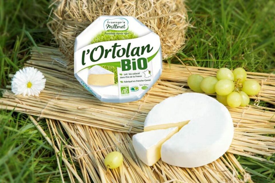 Amcor and Fromagerie Milleret Collaborate to Introduce Recyclable Paper Packaging for Premium Cheeses food and drink packaging, food and drink sustainable packaging, Food packaging, paper packaging, Recyclable packaging, sustainable packaging Food and Beverage Business