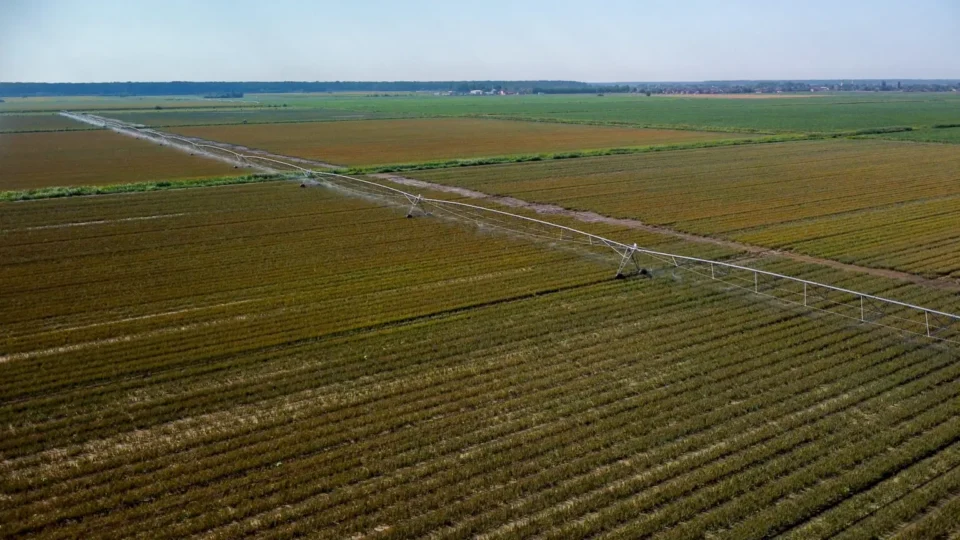 Fortenova Group Initiates Interest Assessment for the Potential Sale of Agricultural Business Division Fortenova Group Food and Beverage Business