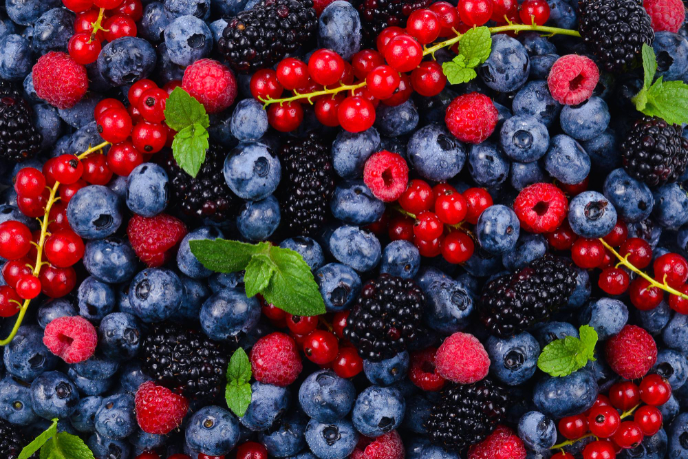 Surexport takes controlling interest in Jong Fruit Food and Beverage Business Surexport takes controlling interest in Jong Fruit Fresh produce Food and Beverage Business Surexport,Jong Fruit