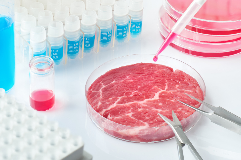 Austria, France, and Italy to express concerns about cultivated meat with EU meat, meat alternatives, Policy Food and Beverage Business