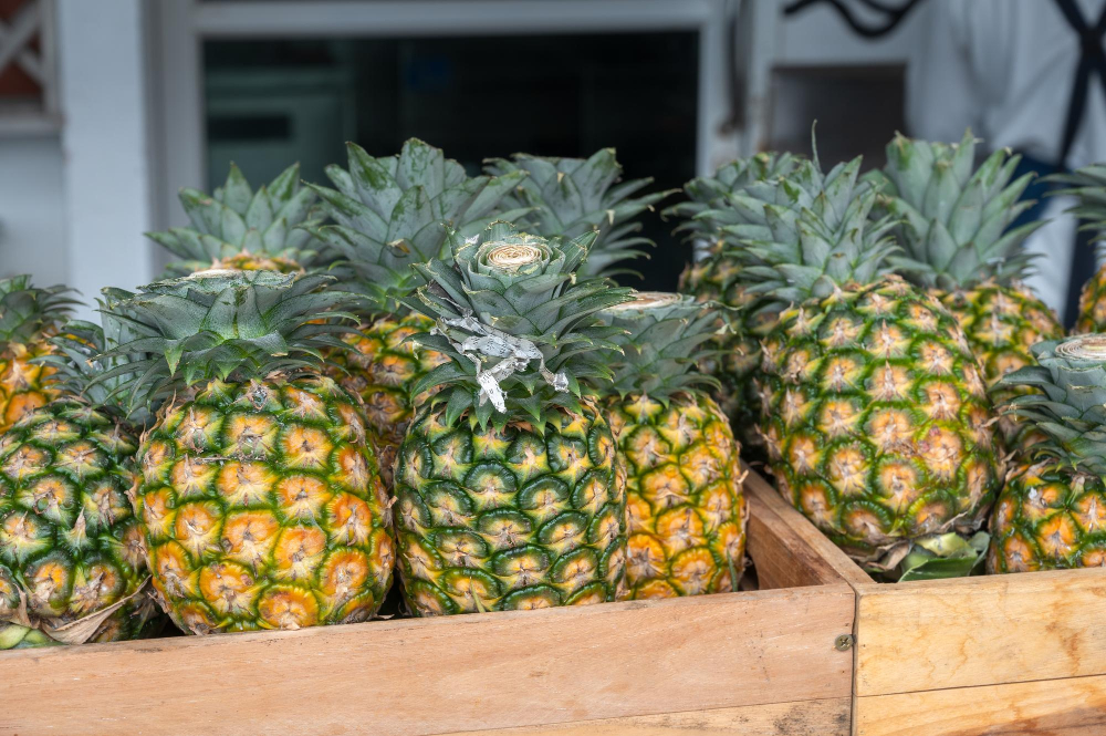 Dole divests Progressive Produce unit to Arable Capital Partners Dole Food and Beverage Business
