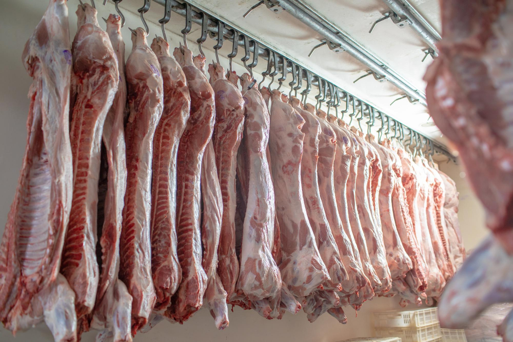 Gobarto of Poland Proposes Acquisition of Local Meat Company Albo Food and Beverage Business Gobarto of Poland Proposes Acquisition of Local Meat Company Albo meat Food and Beverage Business