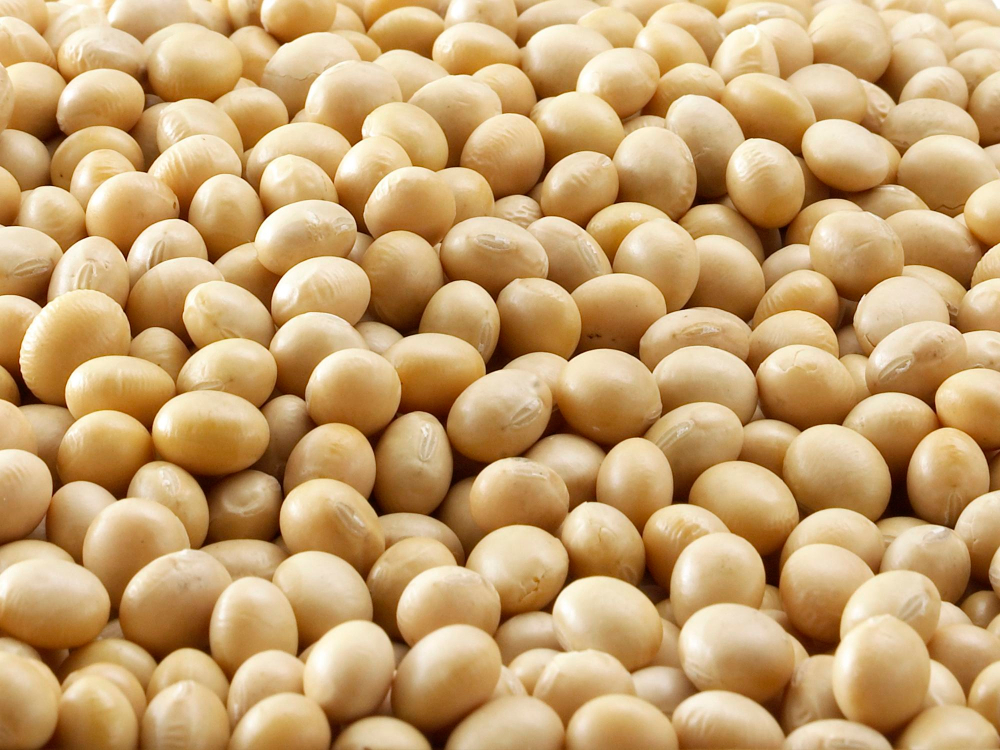 Utilizing plant proteins to lower the expense of plant-based meat business, Cost Food and Beverage Business