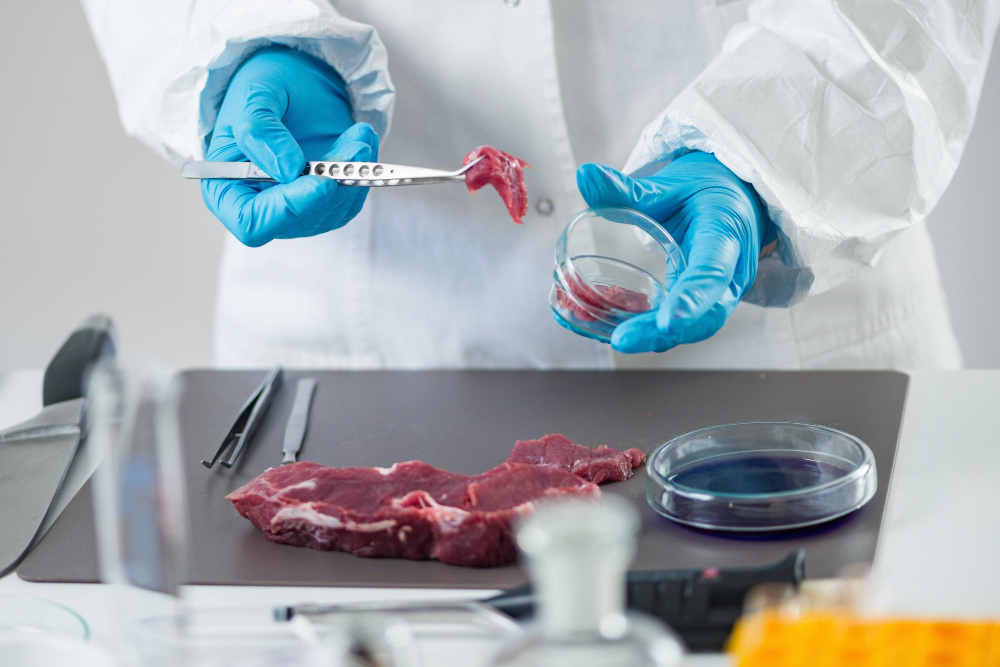 North East innovators receive half a million fund to support development of lab-grown meat for broader consumption Food and Beverage Business North East innovators receive half a million fund to support development of lab-grown meat for broader consumption innovators, lab grown meat, North East Food and Beverage Business