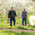 California Prune producers harmonize modern technologies with traditional methods to cultivate their fruit California, fruit production, heritage practices, Prune growers, Technologies Food and Beverage Business Biotiful