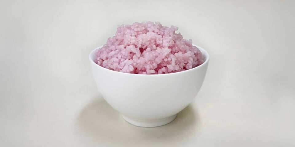 Korean Scientists Create 'Rice with Meat-like Texture' develop, Korean, meaty rice, Scientists Food and Beverage Business