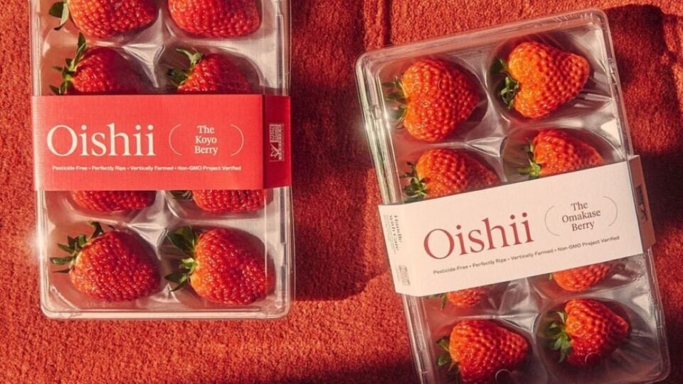 Oishii secures $134 million to expand their vertical strawberry farming business Fresh produce Food and Beverage Business