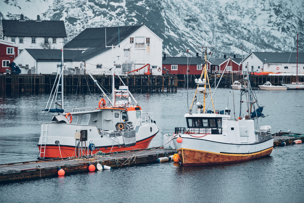 E.C. Phillips & Son acquires Alaska plant from Trident Seafoods Fish & Seafood Food and Beverage Business