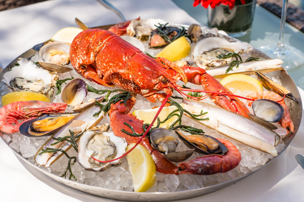 Frescatto Company and Prime Seafood announce partnership to exclusively offer Brazilian seafood products Fish & Seafood Food and Beverage Business Frescatto,Prime Seafood