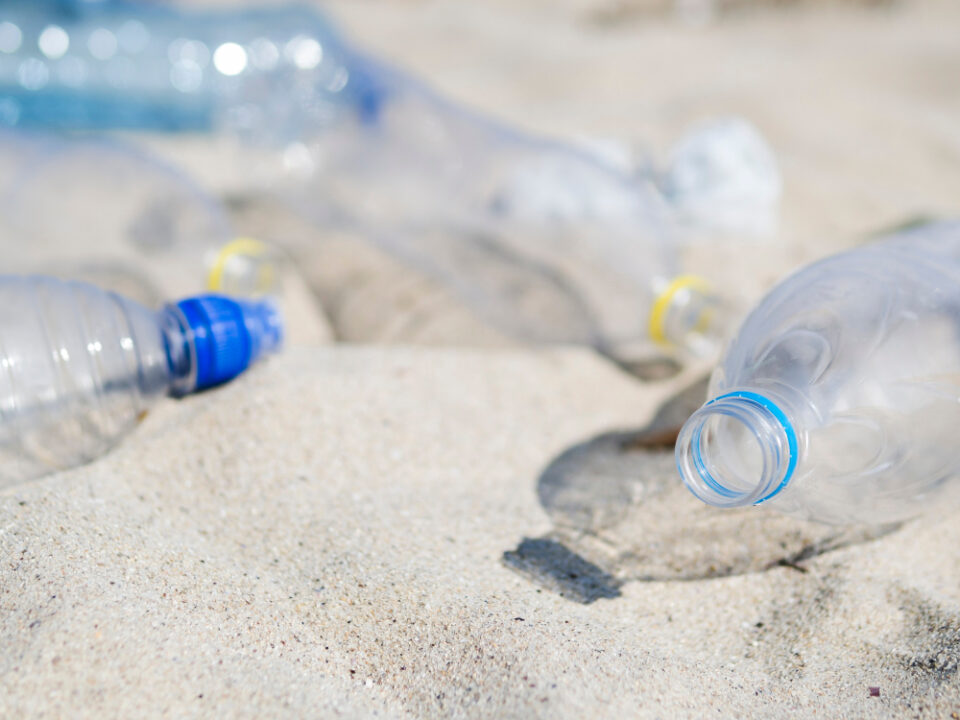 Launch of a New System for Beverage Carton Collection and Recycling in Egypt: SIG Partners with Plastic Bank and GIZ to Empower Communities beverage packaging, circular economy, food and drink packaging, food and drink sustainable packaging, Food packaging, plastics Food and Beverage Business