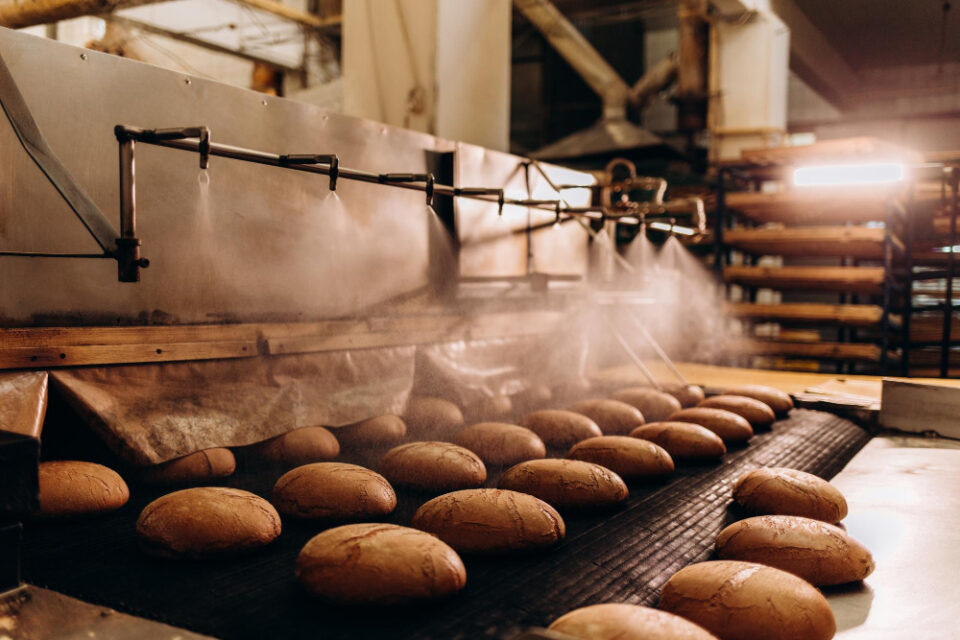 Modern Baker and Hovis Come Together in Partnership Deal Hovis Food and Beverage Business
