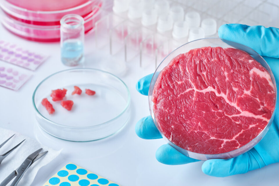 Meatable Reduces Cultivated Meat Production Time to a Mere Four Days Cultivated meat, Emerging Science & Tech, four days, meat, NPD, poultry & seafood, production, R&D, time Food and Beverage Business