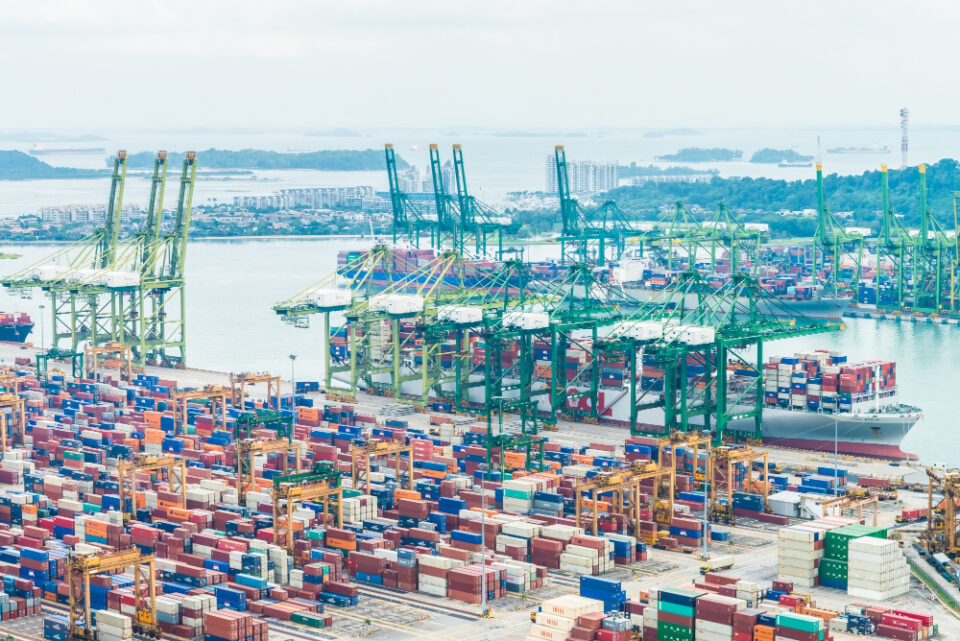 The Critical Importance of Digital Transformation in Latin American Food Logistics digital transformation, Food Logistics, LatAm Food and Beverage Business