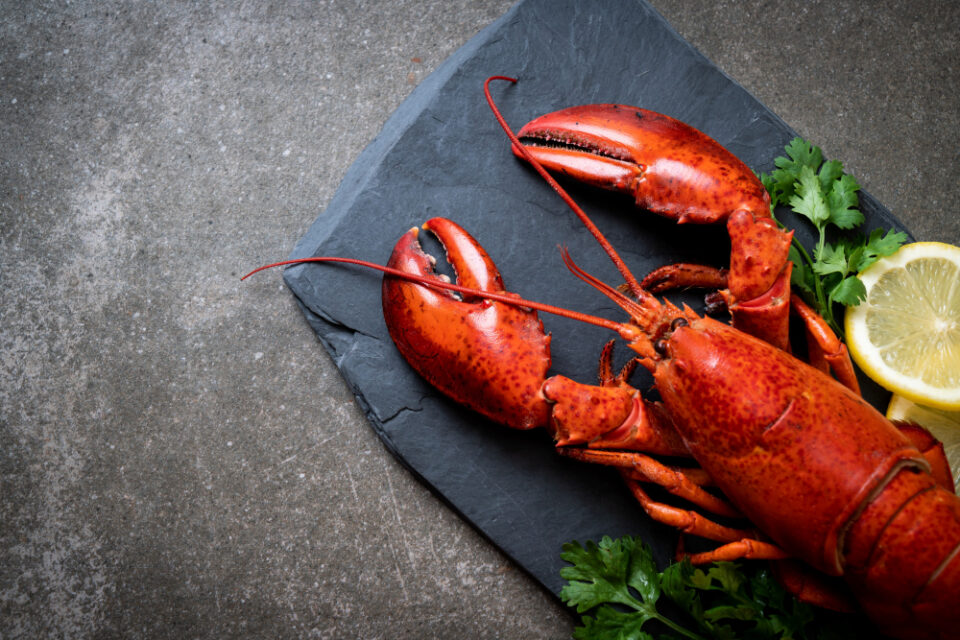 Premium Brands Holdings foresees ongoing difficulties for the seafood industry Premium Brands Holdings Food and Beverage Business