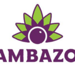 SunOpta divests frozen açaí and smoothie bowls business to Sambazon SunOpta Food and Beverage Business