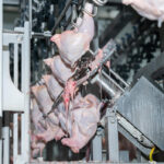 Another Meat Facility in Canada to be Closed by Olymel Olymel Food and Beverage Business