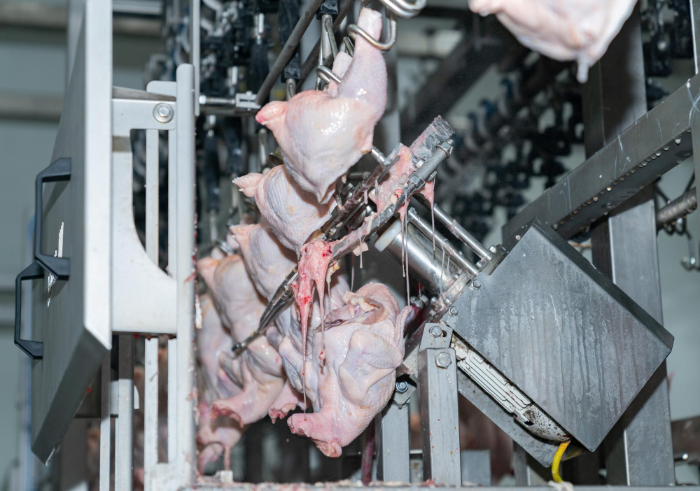 Another Meat Facility in Canada to be Closed by Olymel Olymel Food and Beverage Business