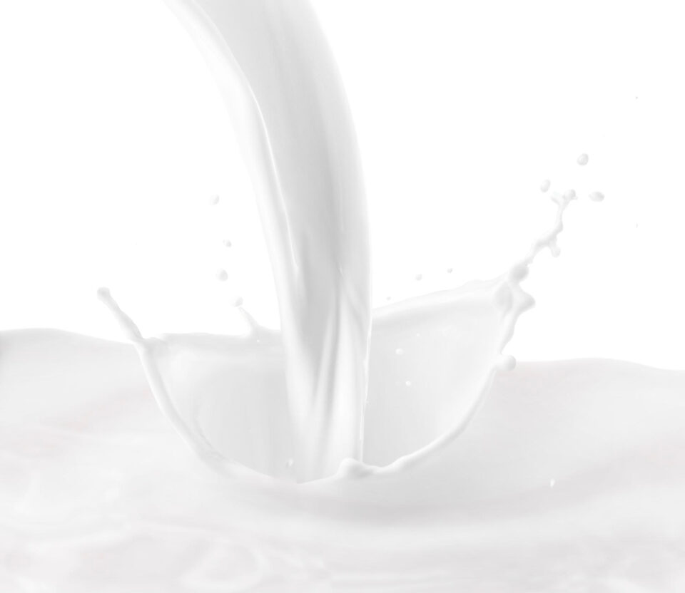 Alternative method achieves equivalent results to pasteurisation without the need for heat Beverage, business, dairy, Dairy-based ingredients, Flavours and colours, food tech, milk, Pasteurization, Sustainability, Transparency and supply chain Food and Beverage Business Lyras