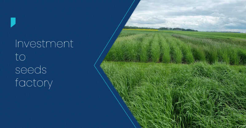 AB Akola Group plans to build a €9.5m seed factory. €9.5m, AB, Akola Group, construct, seed factory Food and Beverage Business