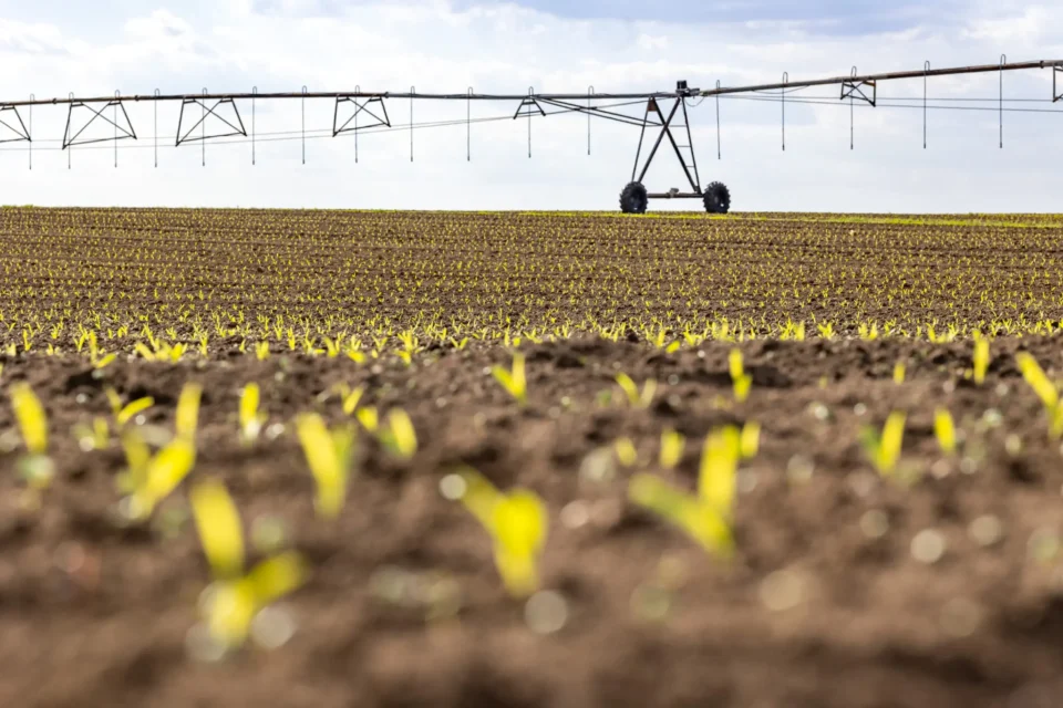 Podravka joins firms in conducting due diligence for Fortenova agricultural assets Fortenova Group, Podravka Food and Beverage Business