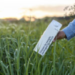 Elopak reduces direct emissions by 33% cuts, direct emissions, Elopak, Third Food and Beverage Business Ishida