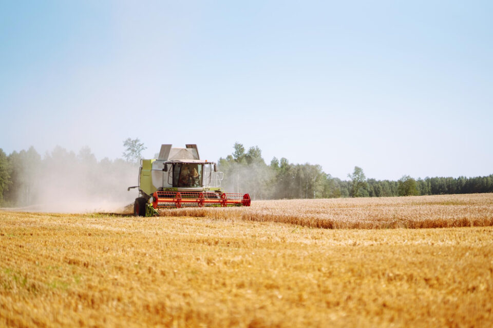 Five UK farms to support sustainable agriculture practices Agriculture, Environment, Food Security, Fresh produce, meat, poultry & seafood, supermarket Food and Beverage Business