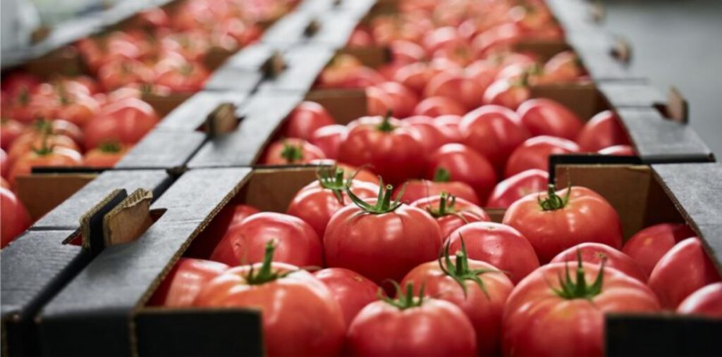 Produce group The Greenery considering potential collaboration with BelOrta Fresh produce Food and Beverage Business